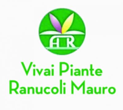 RANUCOLI VIVAI